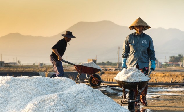 Supporting Food Security in Indonesia, PT Unichem Candi Indonesia Establishes a Salt Processing Plant in JIIPE Industrial Estate